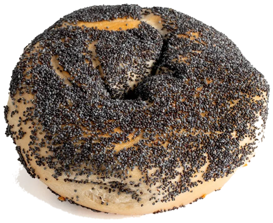 poppy seed bagel