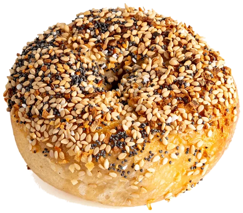 everything bagel topped with poppy seeds, garlic and onion